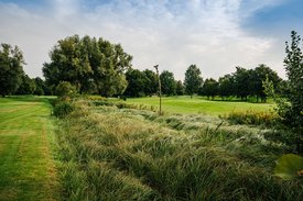 Blick auf Feuchtwiese im Golf Club St. Leon-Rot