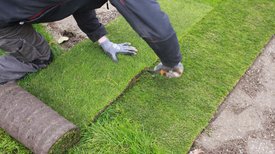 Greenkeeper verlegt Rollrassen und schneidet Kante mit Messer