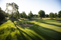 Baum auf Golfplatz mit Sonne im Hintergrund
