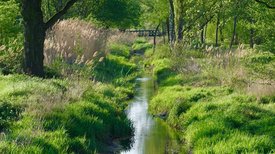 Der Kraichbach fließt durch den GC SLR