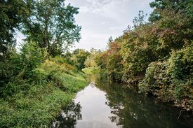 Der Kraichbach umgeben von Bäumen und Büschen fließt durch den Golf Club St. Leon-Rot