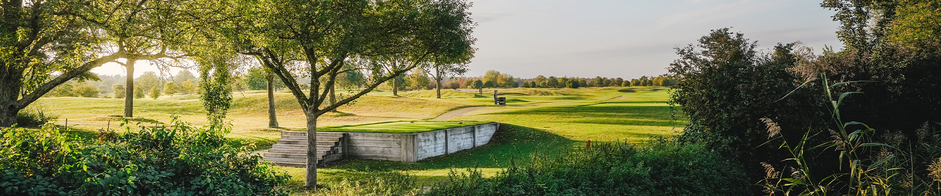 Blick auf Golfabschläge mit Bäumen im Vordergrund